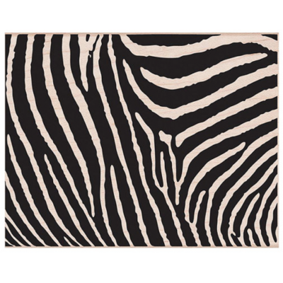 Zebra print